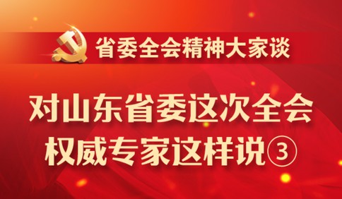 對山東省委這次全會，權威專家這樣說③