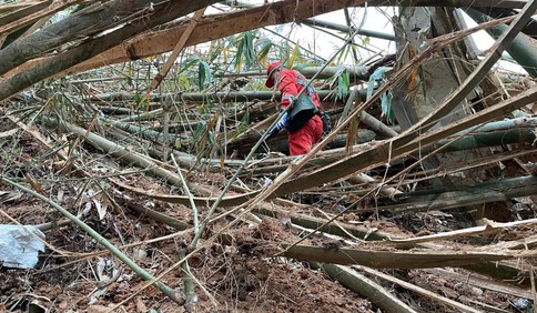 全力搜索黑匣子