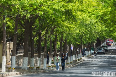 夏日老城区 游人漫步绿意中