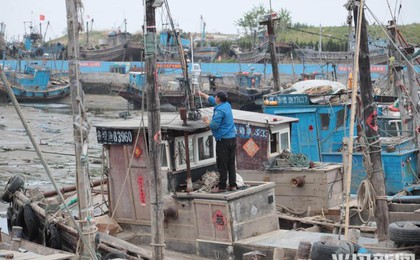 崂山区沙子口南姜码头：修渔船 待开海