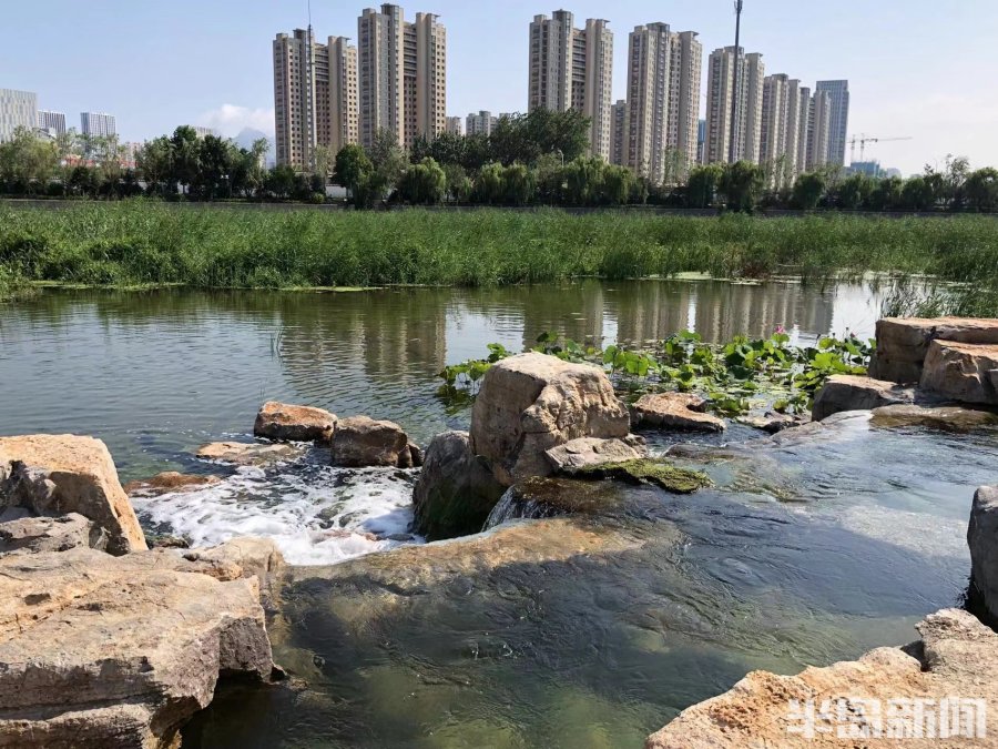 青岛水务张村河水质净化厂通水4周年 实现河道补水4692万吨