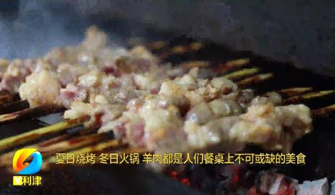 好品山东 | 黄河口滩羊：标准化养殖打造餐桌上的健康美味