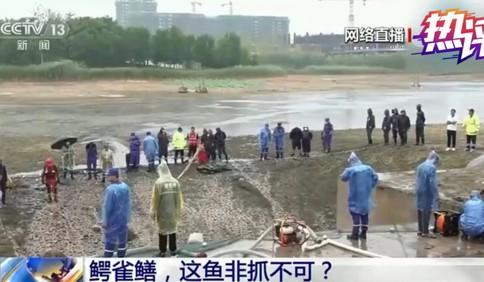 央視熱評：抽湖抓“怪魚”，一堂引人警醒的生物公開課