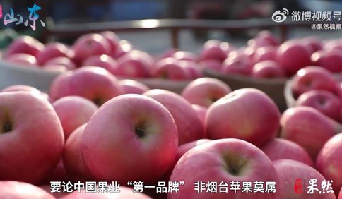 好品山东 | 要论中国果业“第一品牌”，非烟台苹果莫属