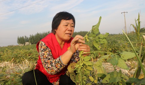 二十大代表風采｜杜立芝：把根深深扎在泥土里