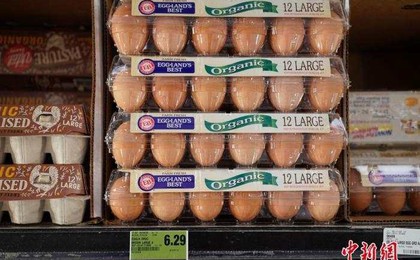 欧洲暴发史上最大规模禽流感 鸡蛋会涨价吗？