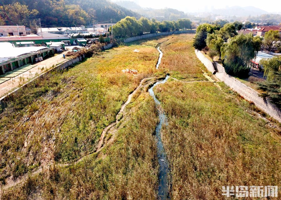 伴随着张村河周边正在进行城市更新，这条“金龙”见证着该区域的崛起。