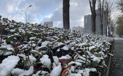 墨城降初雪 最低气温-6℃