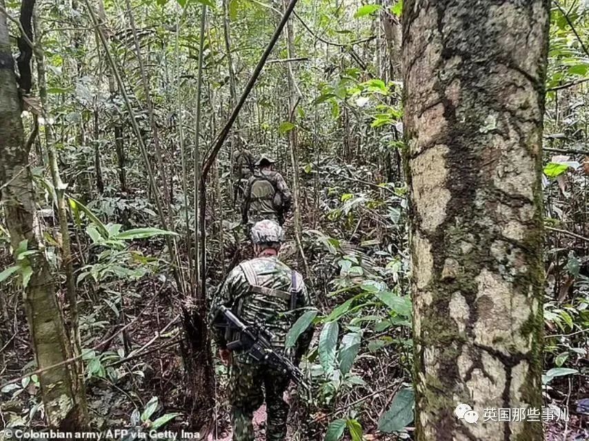 求生之路2坠机怎么过啊_求生之路2坠机险途_四名儿童遇空难幸存