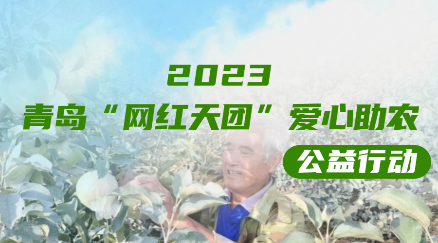 青岛“网红天团”爱心助农公益行动再出发