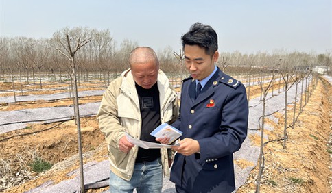 青岛税务：以“税”添力 涉农企业向 “新”而进