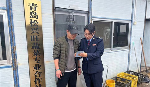 青岛税务：税惠春风助力小番茄“大发展”