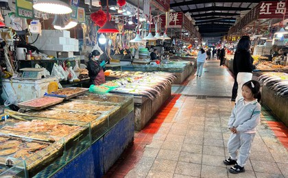 青岛鲅鱼大量上市，五一节前价格亲民引市民抢购