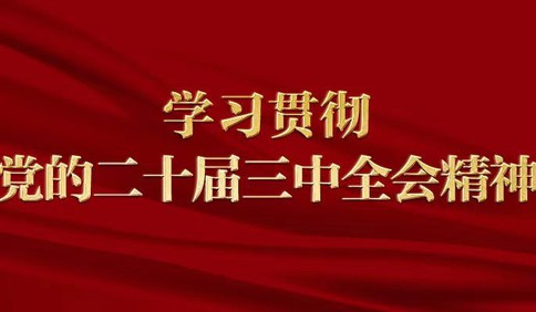 锐意改革进取，开辟中国式现代化广阔前景——与会同志谈党的二十届三中全会精神