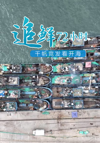追鲜72小时！大众新闻•半岛记者兵分五路探开海