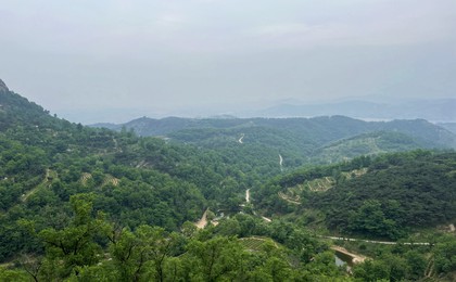 山東唯一！ 日照圣谷山大梁山有機(jī)茶園上榜首批“...