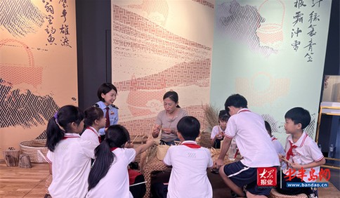 博物馆里说税法，平度市税务局“开学第一课”走进“指间大象”草编博物馆
