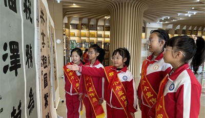 青岛税务：“宪”身说法 让依法治税更有力量