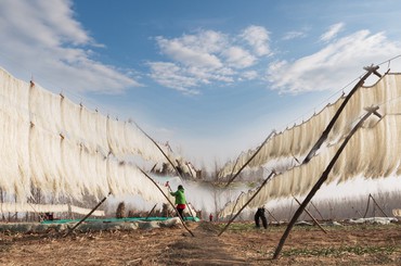 冬日青岛 晾晒粉条成为独特风景线