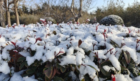 冬游青岛｜莱西冬至雪景图，欢声笑语满月湖