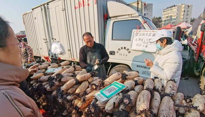 冬游青岛・探大集｜各地特产整车来卖，沙子口大集，就是一个“鲜”