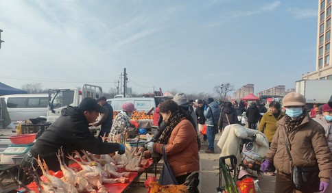 冬游青島·探大集｜年畫泥牛搶“C位”，海鮮四小天王爭“霸主”！上馬大“吉”年味濃