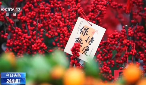 春節臨近“年宵花”熱銷！品種“上新”年味漸濃