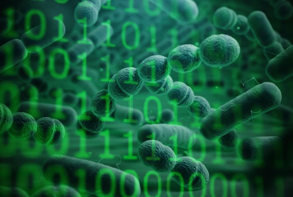 全球最大数字微生物数据库建成