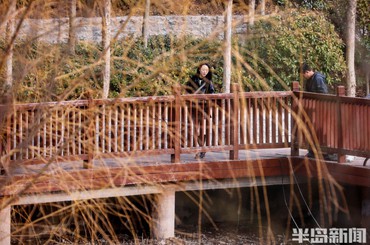 春風(fēng)微拂，萬(wàn)物萌醒