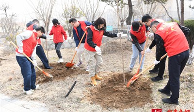 以“税务蓝”描绘“生态绿”，黄岛区税务局开展植树节主题活动