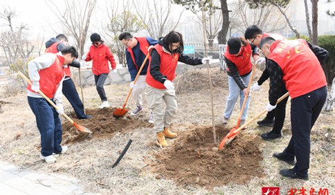 以“税务蓝”描绘“生态绿”，黄岛区税务局开展植树节主题活动