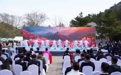 花开西海岸 春到大珠山——2025青岛“花开西海岸...