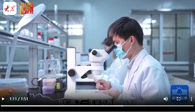 青岛故事 | 一头能卖20万！青岛和牛凭啥这么牛？