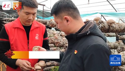 青岛故事 | 冠军车手回乡种香菇！多次夺得摩托大赛冠军，他创业想要“弯道超车”