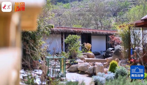 青島故事｜為了夢中小院，她選擇來北宅！開荒建花園130種植物在生長，歡迎大片來取景