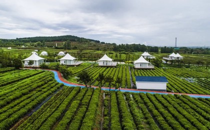 日照市农业农村局“2025年五一休闲农业精品线路”...
