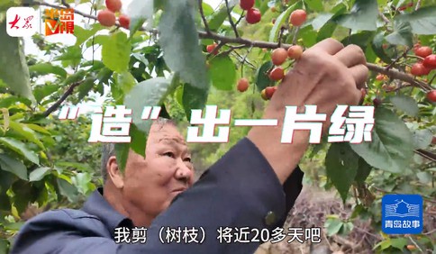 青島故事｜“圖紙在腦里，行動在手上！”72歲老人日行20里，22年把河灘變櫻珠園