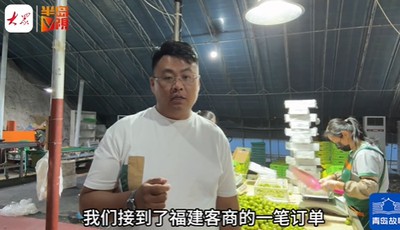 青島故事｜打包忙到凌晨四點！崔家集小西紅柿假期加倍“受寵”