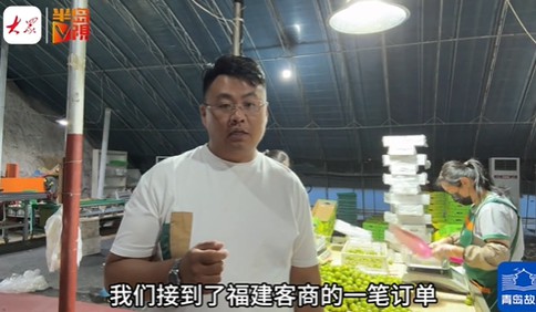青岛故事｜打包忙到凌晨四点！崔家集小西红柿假期加倍“受宠”