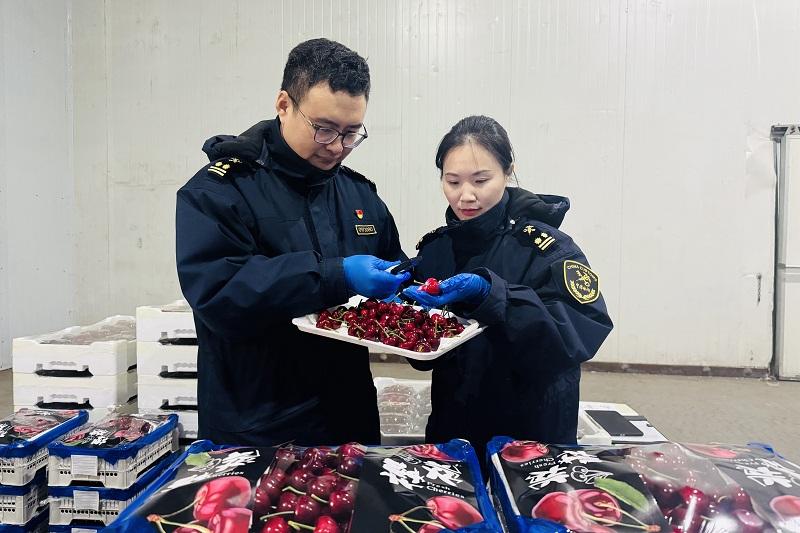 智能通关“黑科技”畅通水果出口“高速路”