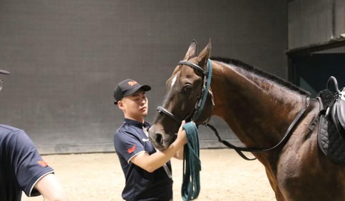 新闻周刊｜大二退学，22岁重新高考，他选择了养马