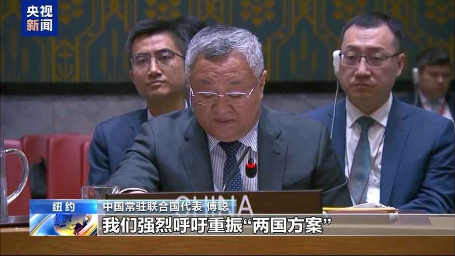 中方强烈要求加沙立即持久停火,呼吁重振“两国方案”
