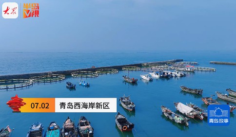 青島故事｜為魚蝦海參建“海底別墅”！他在海上“放牧”十余年，讓海底恢復年輕時模樣