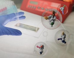 只需一滴血，微芯片可揭示个体抗体与病毒的“战争”