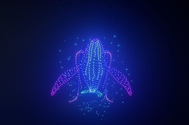 青島：海洋動物“游”上夜空