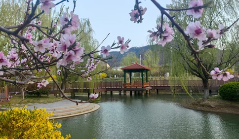 青岛三十九中（海大附中）2025年国际课程班招生简章