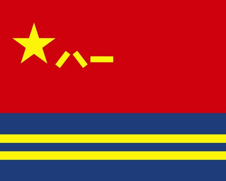 兵种军旗哪些场合使用?国防部明确