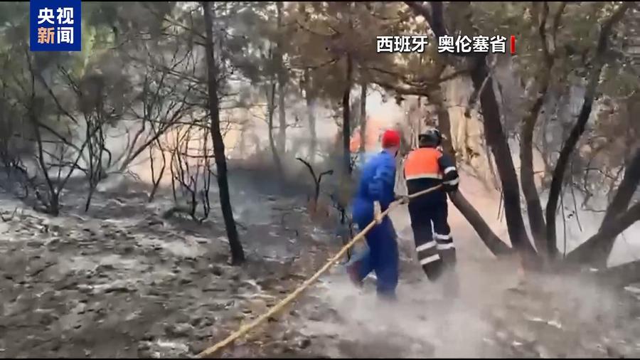 高温持续,欧洲多国山火依然活跃