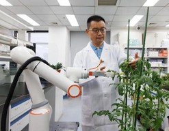 世界首台智能育种机器人“吉儿”在怀柔亮相