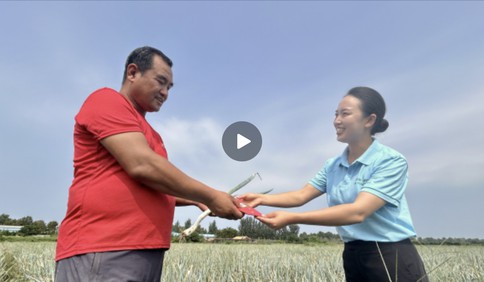 青島故事｜“愛心購(gòu)”引來(lái)一波波“愛心潮 ”，愛心企業(yè)又送來(lái)2萬(wàn)斤大蔥定購(gòu)款